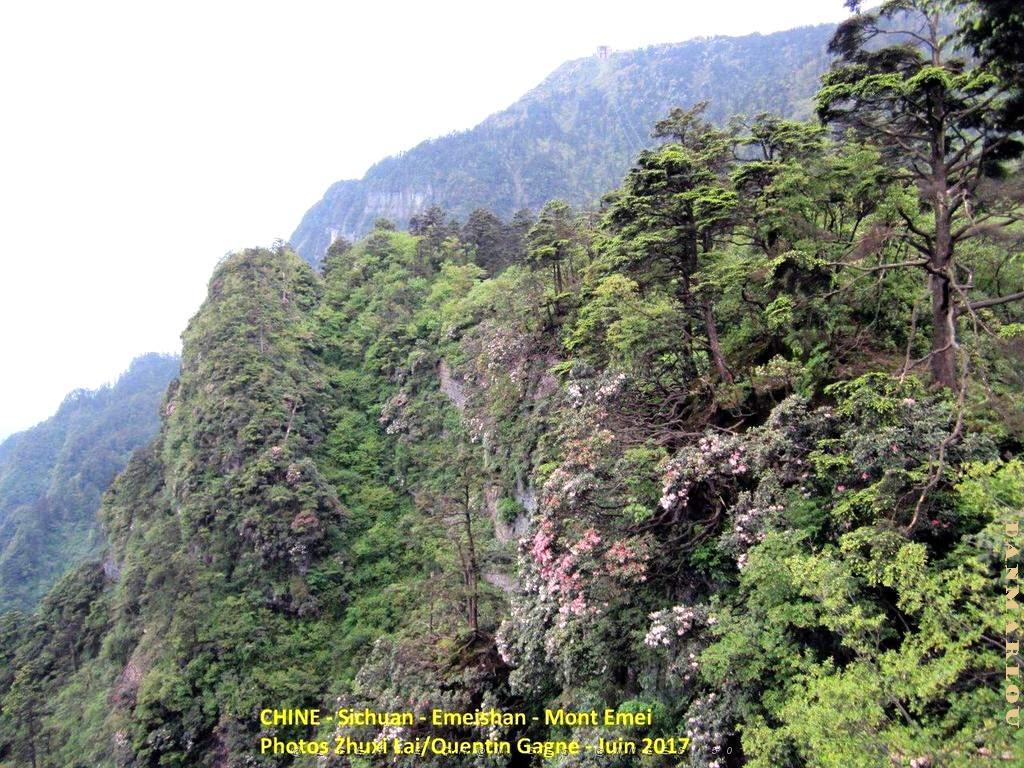 Emeishan 145.JPG